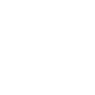 Logotipo branco de Bruna Mathys