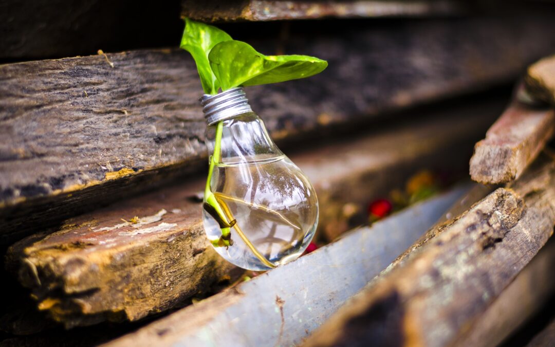 Como a maternidade me reconduziu ao meu próprio caminho