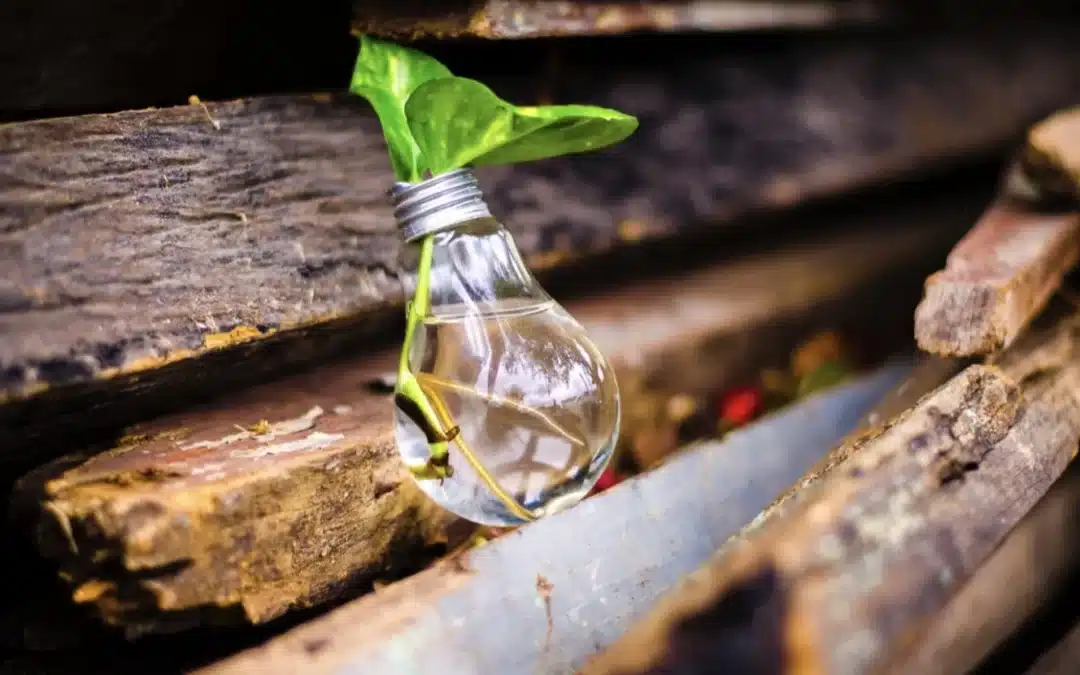 À la découverte de ma vocation après la maternité