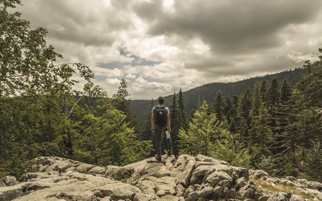 Bruna Mathys, imagem de uma pessoa contemplativa em um ambiente sereno, simbolizando introspecção e a jornada interior como forma de autodesenvolvimento