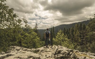 O maior mapa é o interior