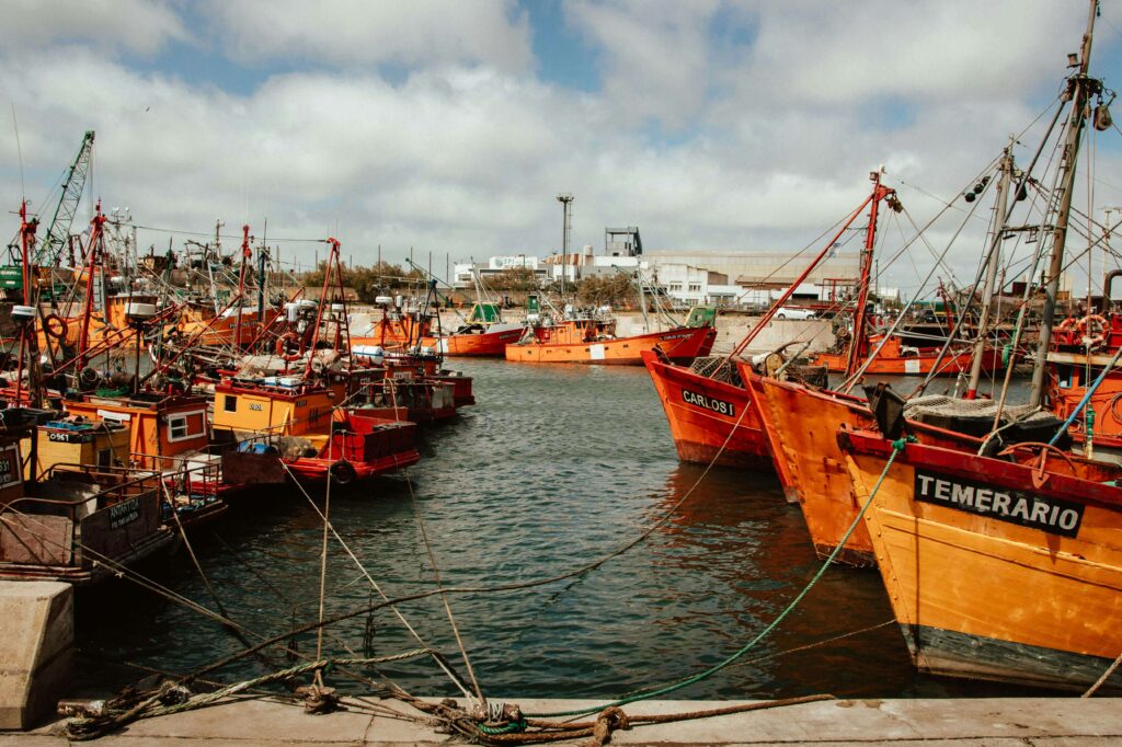 Bruna Mathys,
Image de bateaux amarrés, symbolisant la sécurité et le confort, tout en évoquant la nécessité du mouvement et le fait de sortir de sa zone de confort.