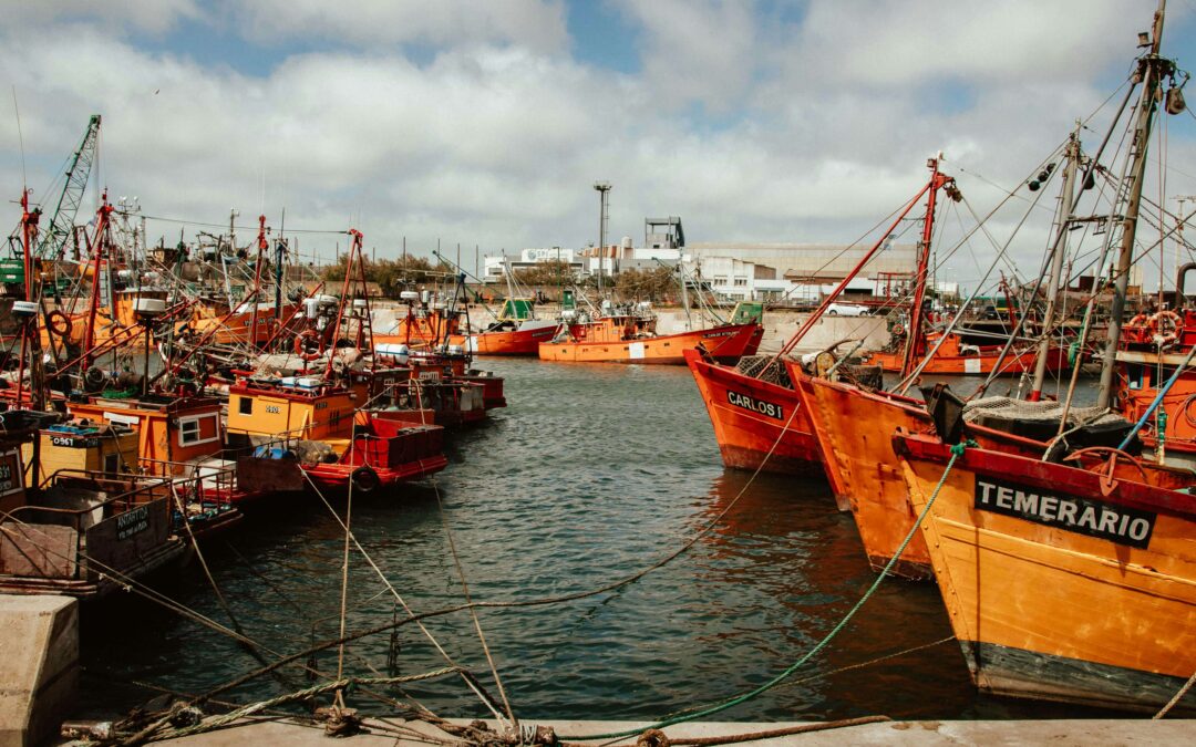 Bruna Mathys, Imagem de barcos atracados, simbolizando segurança e conforto, mostrando a necessidade do movimento e o ato de sair da zona de conforto.